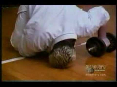 Great solar plexus punch