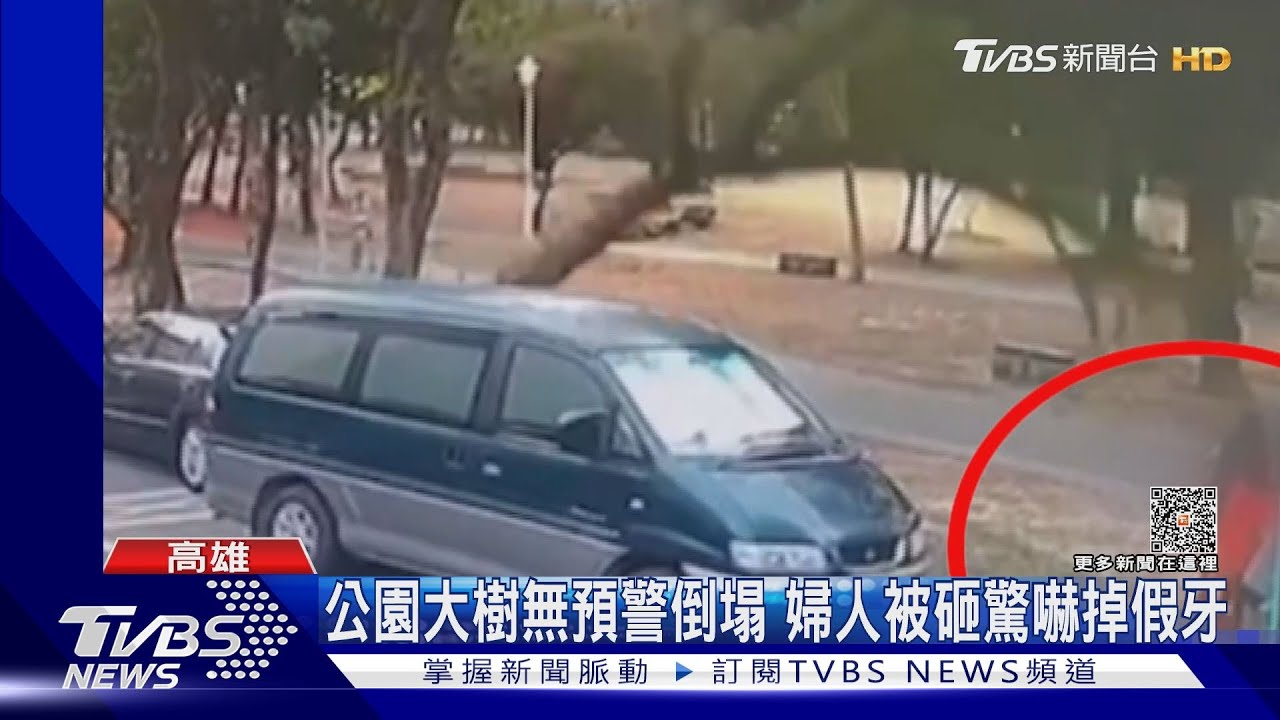 大樹倒塌民眾至少3傷1人疑腦震盪 1嬤驚嚇受傷掉假牙