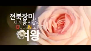 전북장미 세계 꽃시장의 여왕 노린다