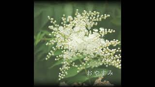 おやすみ