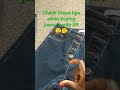 Jeans To Lift Your Booty Make Bigger And Rounder Shorts