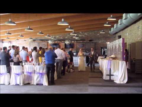 MC Sarah Announces The Bride & Groom - Stealth DJ's Michigan Wedding Disc Jockey Service