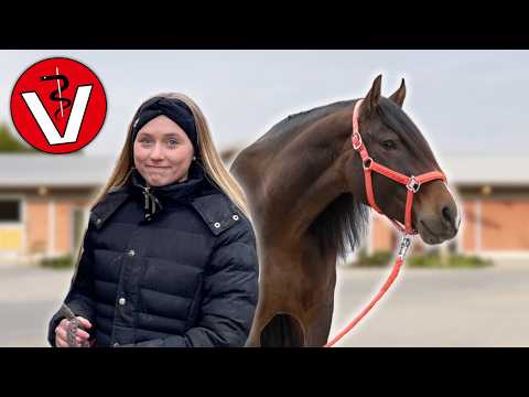 IBERO ist in der KLINIK