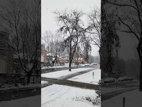 Brandenburg an der havel  nevando