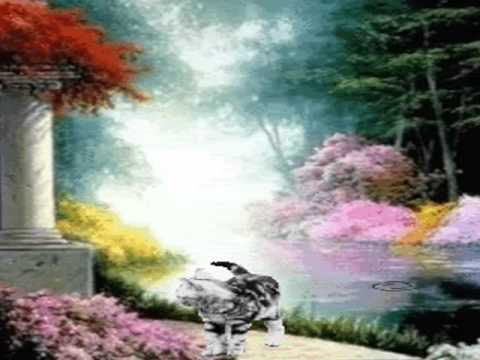 ANGEL CAIDO DJ Tribute to Franz Lambert   Samba Medley= ABBA Med