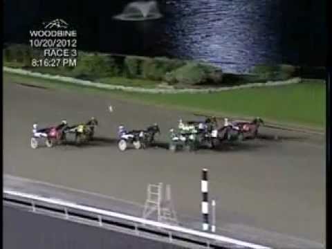Breeders Crown 3Y Trot 1st Elimination 2012 -Little Brown Fox