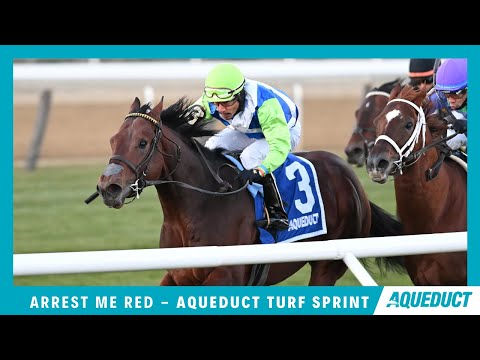Arrest Me Red -  2021 - The Aqueduct Turf Sprint Championship