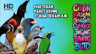 Download lagu PAKET MASTERAN BURUNG SATU JALUR   JEDA TERAPI AIR | MUDAH DITIRUKAN TROTOLAN mp3