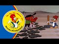 Woody Woodpecker Packin Woodpecker Full Episodes