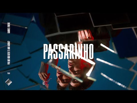 Passarinho - Gabriel Froede