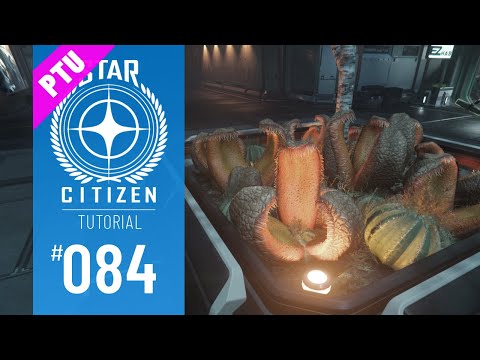 STAR CITIZEN #084 | TUTORIAL | ARCCORP: BAIJINI POINT | Deutsch/German | Alpha 3.8 (PTU)
