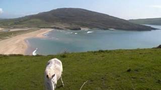 preview picture of video 'Barleycove Beach near Mizen Head - Beautiful View - Irish Horses - Irland April 2011'