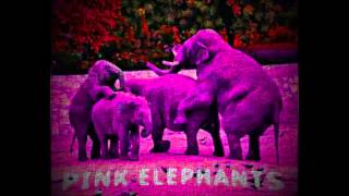 Wideo1: Pink Elephants ze migla - Peace and love
