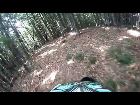 De la Gales spre Robaia