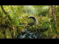 Peaceful Music, Relaxing Music, Celtic Instrumental Music  
