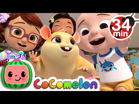 Class Pet Song 🐢 + More Nursery Rhymes & Kids Songs | CoComelon