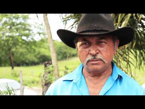 Documentário Alma Pantaneira