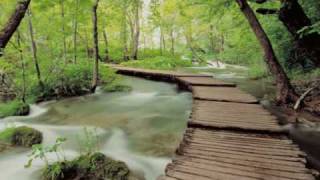 Constant as the Wind - by Goodbye Elliott