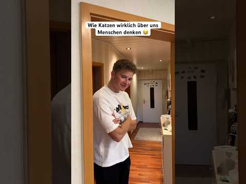 What cats really think about us humans 😂 | FionnTime