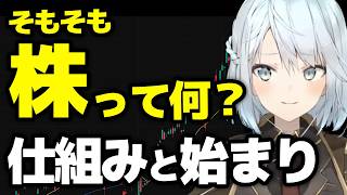 株の仕組みと株の始まりを分かりやすく解説！初心者向け解説【ねるめろ切り抜き】