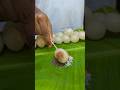 Spicy Rambutan Pickle Shorts Food Fruit Fruitpickle