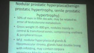 40)Dr. Safinaz pathology 22/3/2016 [Dieaseases of urinary bladder &Male genital system]
