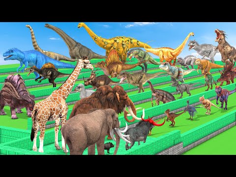 TODAYS ANIMALS VS DINOSAUR DEATHRUN The Toughest of All ARK & REAL LIFE Animal Revolt Battle Simulat