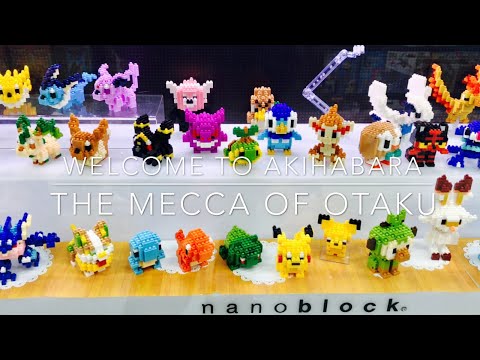 Akihabara: The Mecca of Otaku - Electronics - Games - Maid Cafes  | 秋葉原：オタクの天国 | Akiba Surga Wibu