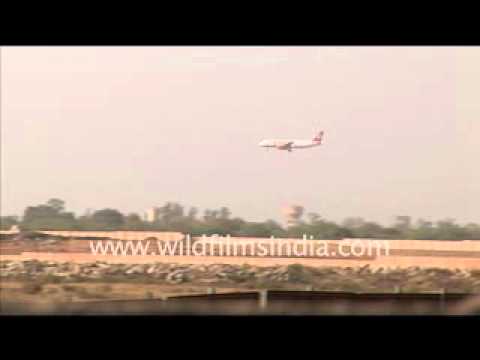 download lagu mp3 mp4 Centaur el Mumbai Juhu, download lagu Centaur el Mumbai Juhu gratis, unduh video klip Centaur el Mumbai Juhu