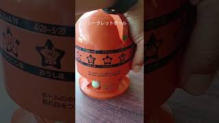 シークレットボール 占いルーレット 100円 天橋立のレストラン