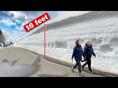 Road Trip to the Japanese Town with the Highest Snowfall