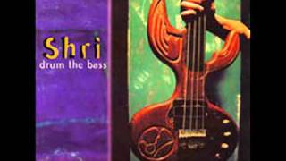 Meditation-Shri-Drum The Bass