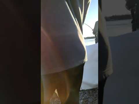 7,7kg lohi, 19.7.2022 MERIKOSKI PUNTTIKALASTUS