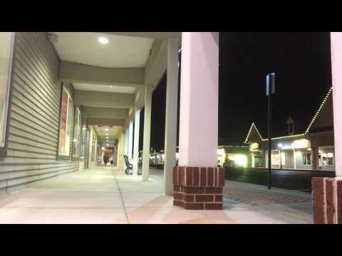 This is Remi the GSP walking at the Outlets in Gettysburg.