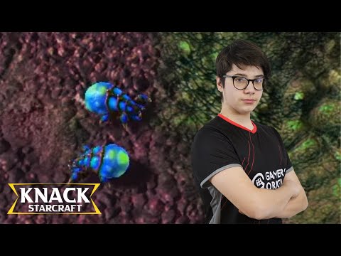 Reynors Banelings - StarCraft 2 Rogue vs Reynor