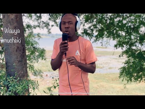 Tinashey Mutandwa - Wauya Mucheki