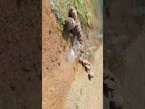 toca do sapo nova santa Helena MT