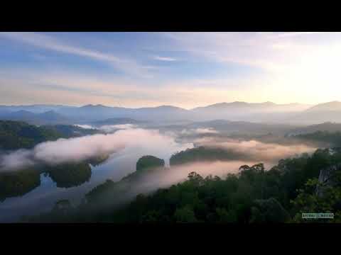 Amazon Jungle Wake Up Yoga Music | 4:44 Hours | Solfeggio Frequencies