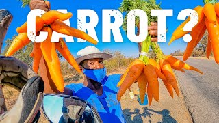 To the heart of ZIMBABWE [S5 - Eps. 77]