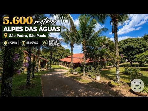 🌳 CHÁCARA À VENDA EM SÃO PEDRO-SP | 5.600m², POMAR INCRÍVEL E IRRIGAÇÃO COMPLETA! 