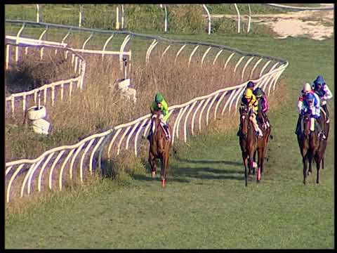 Napoli Galoppo 01/12/2022 - 3ª corsa