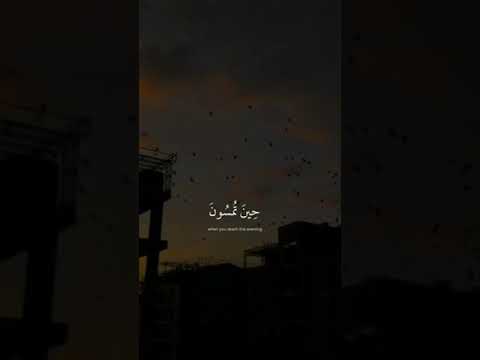 #sunset #birds #clouds #hashtag #trend #explore