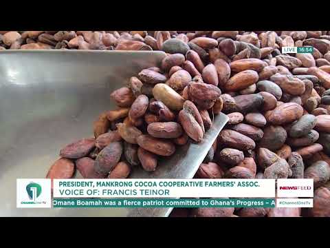 Cocoa Farmers Welcome New COCOBOD Bill Over 70% Revenue Guarantee