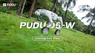 PUDU D5-W: Coming into View