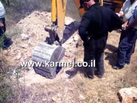 קבר בדליה 2011