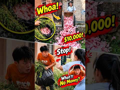 He Hid $10,000 Under Grass to Avoid Suspicion. Big Mistake. 💰 #shorts #trending #usashorts #usa #fyp