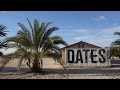 Arizona’s date farms
