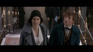 Fantastic Beasts and Where to Find Them (2016) - Official Trailer video