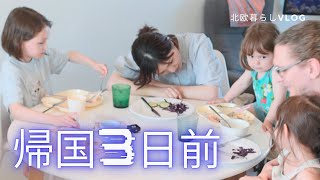 ［帰国前］北欧５人暮らしの食卓🌿日本で食べたいもの、行きたいところを家族で話しました