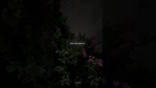 Download lagu Dekha Tenu- Anurati Roy ❤️‍🩹 Aesthetic Status🍁 Slowed Reverb 🌈 FullScreen Lyrics Whatsapp Status mp3